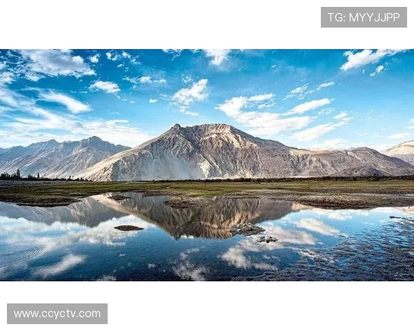 澶ц儨 42 鍒嗕粛閬川鐤戯紝涓浗鐢风鐨勮儨鍒╂爣鍑嗙┒绔熶綍鍦紵 澶ц儨 42 鍒嗕粛閬川鐤戯紝涓浗鐢风鐨勮儨鍒╂爣鍑嗙┒绔熶綍鍦紵